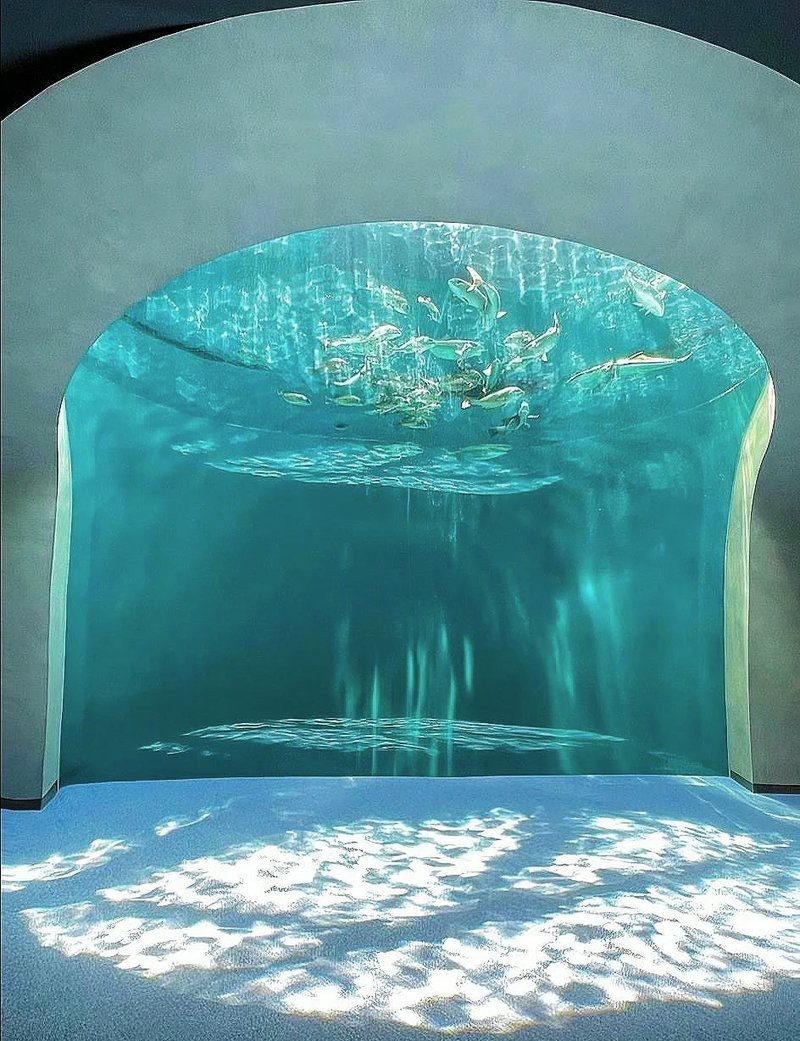 四國(guó)水族館在哪個(gè)城市