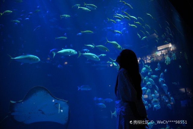 四國(guó)水族館在哪個(gè)城市
