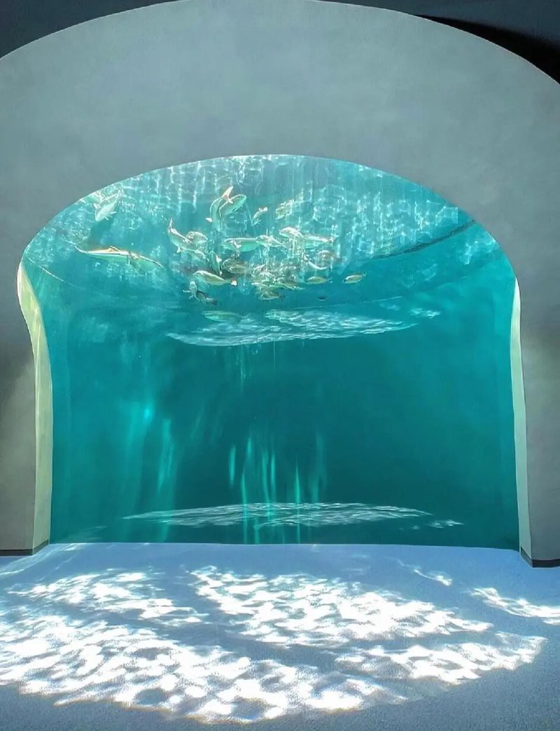 四國(guó)水族館在哪個(gè)城市
