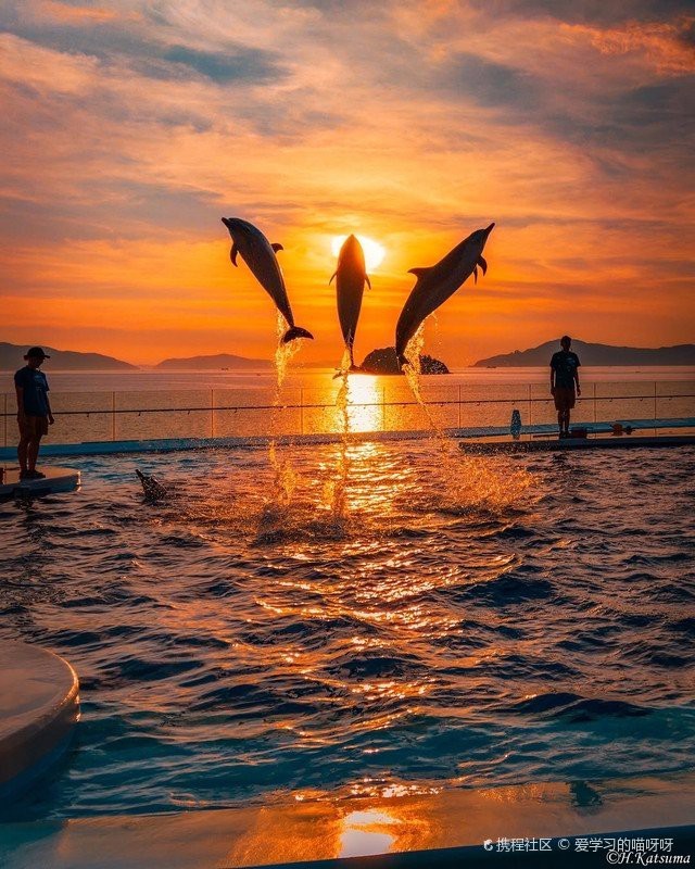 四國(guó)水族館在哪個(gè)城市