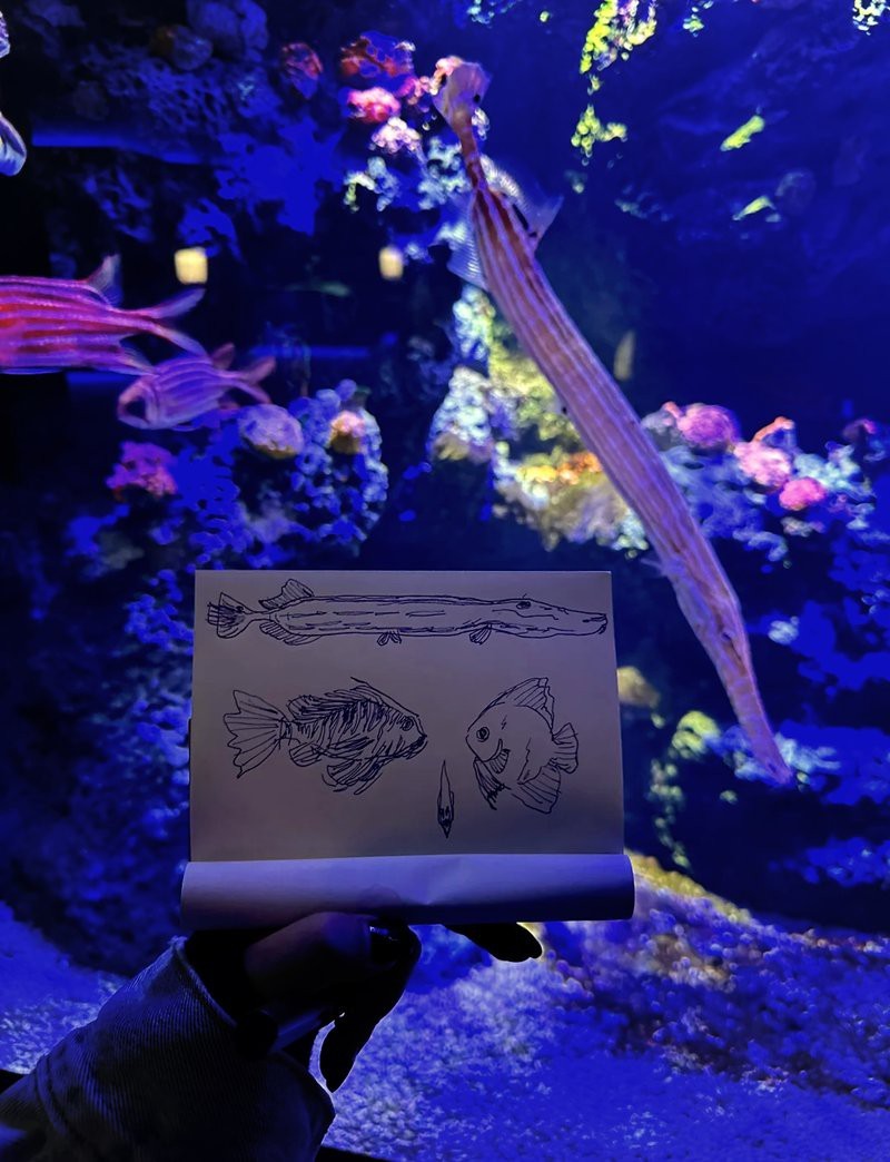 四國(guó)水族館在哪個(gè)城市