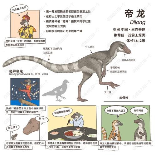 帝龍圖片 帝龍圖片 龍魚論壇 第2張
