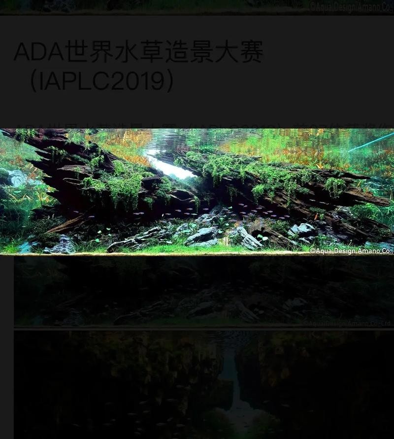 給我一些世界草缸造景大賽獲獎作品的圖片
