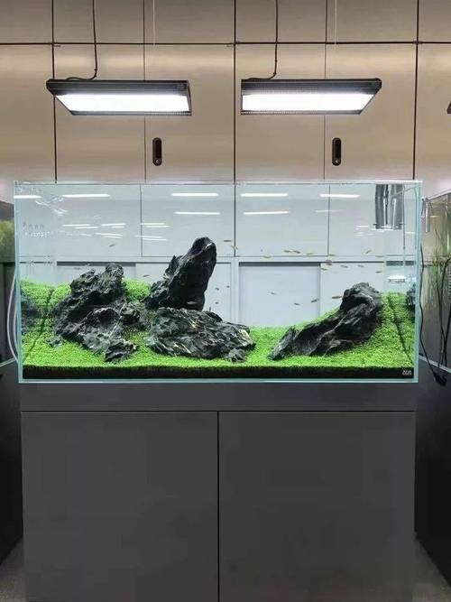 給我一些世界草缸造景大賽獲獎作品的圖片