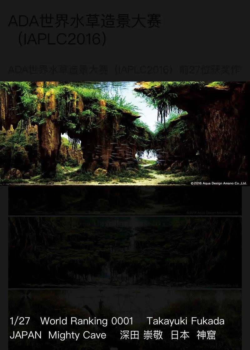 給我一些世界草缸造景大賽獲獎作品的圖片