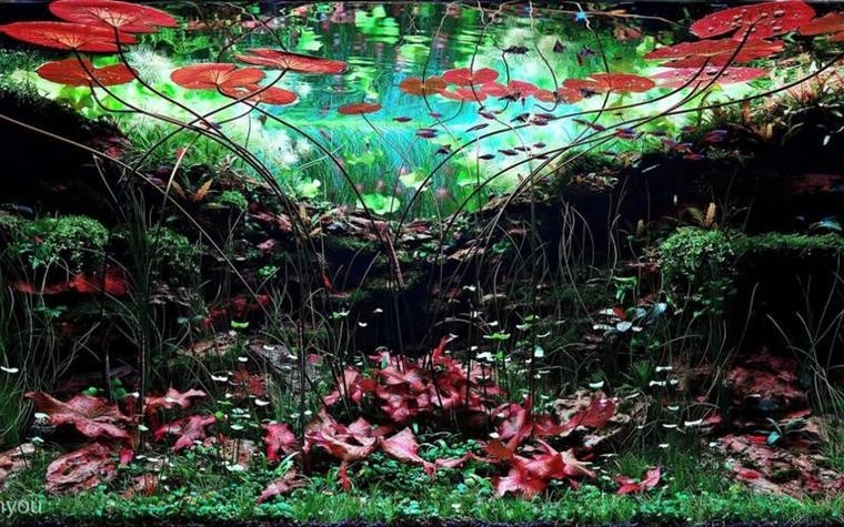 給我一些世界草缸造景大賽獲獎作品的圖片