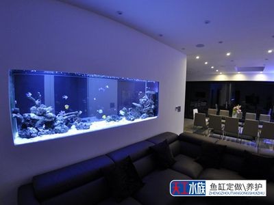 魚缸定制費用受多種因素影響，魚缸定制費用受多種影響：定制一個魚缸的價格范圍和實例