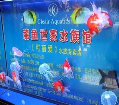 龍魚世家網(wǎng)站（龍魚世家官方網(wǎng)站提供了豐富的水族產(chǎn)品和服務(wù)和服務(wù)）