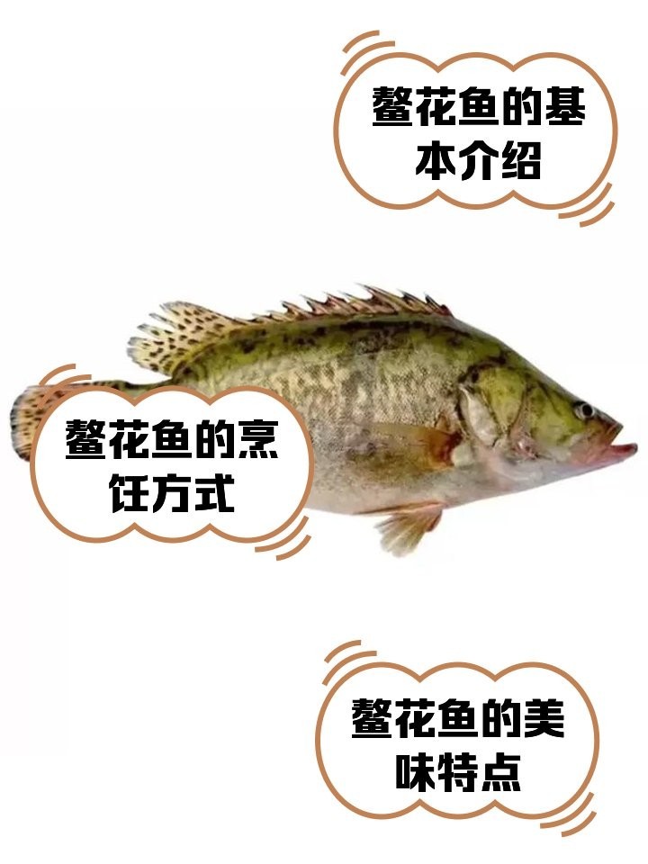 黑龍江鰲花魚有哪些經典做法？