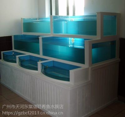 廣州魚缸搬運公司哪家好：如何選擇廣州魚缸搬運公司