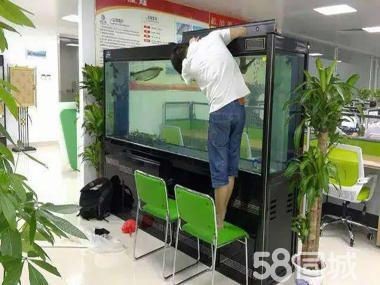 廣州魚缸搬運公司哪家好：如何選擇廣州魚缸搬運公司