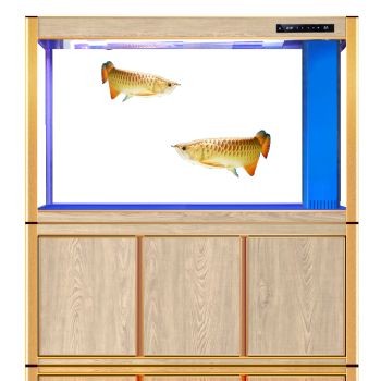 歐寶魚缸廠家電話號碼多少：寧鄉(xiāng)縣玉潭鎮(zhèn)歐寶魚缸廠家電話號碼詳情信息確認(rèn) 歐寶魚缸廠家電話號碼多少：寧鄉(xiāng)縣玉潭鎮(zhèn)歐寶魚缸廠家電話號碼詳情信息確認(rèn) 魚缸百科 第5張