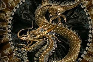 魚化龍與蛇化龍有何區別？