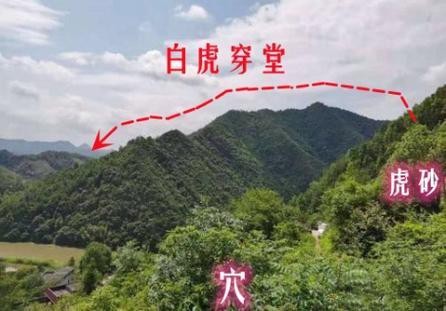 放個暑假天天就是干架