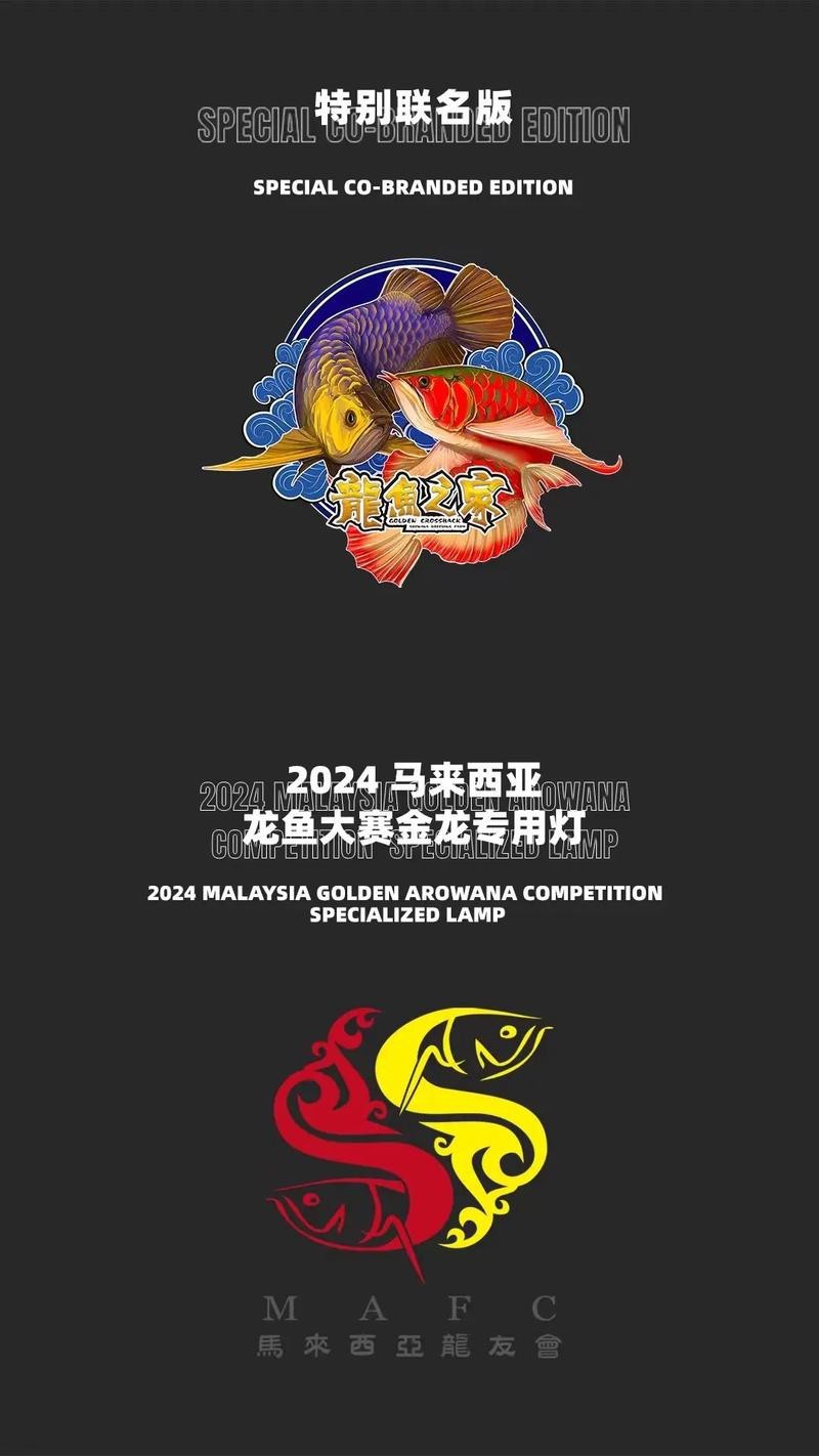 藍(lán)底龍魚用什么顏色的燈好看圖片大全