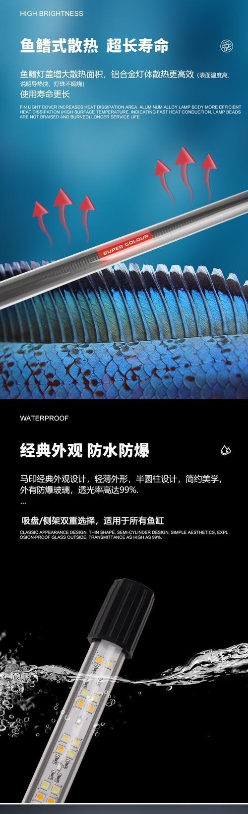 藍(lán)底龍魚用什么顏色的燈好看圖片大全