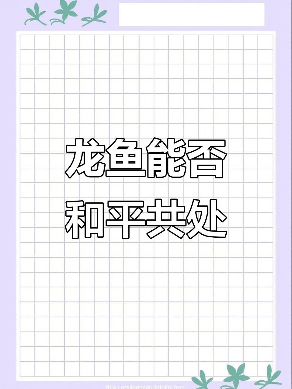 龍魚一大一小可以混養嗎 龍魚論壇 第1張 龍魚一大一小可以混養嗎 龍魚一大一小可以混養嗎 龍魚論壇 第1張