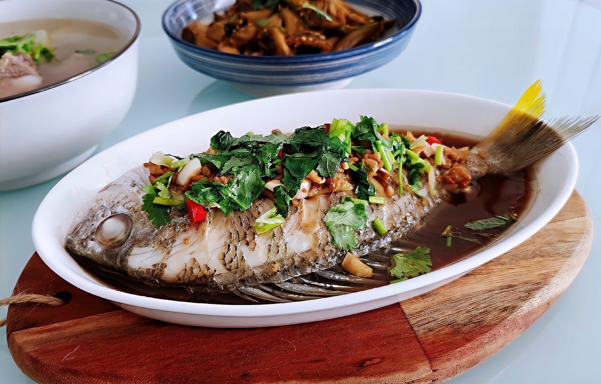 龍魚和黑魚哪個更健康 龍魚和黑魚哪個更健康 龍魚論壇 第2張