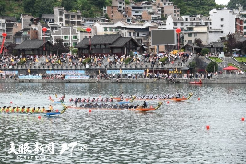 給我提供更多2025年龍舟賽的信息