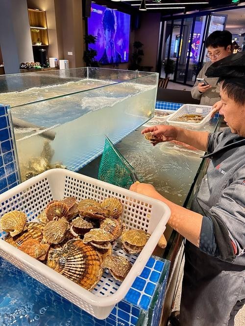 寧波哪里有賣觀賞魚？