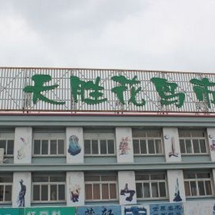 寧波哪里有賣觀賞魚？