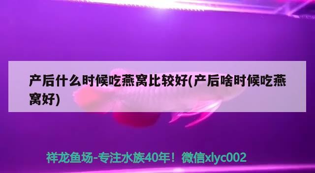銀龍魚咬其他魚怎么辦：銀龍魚咬銀龍魚怎么辦