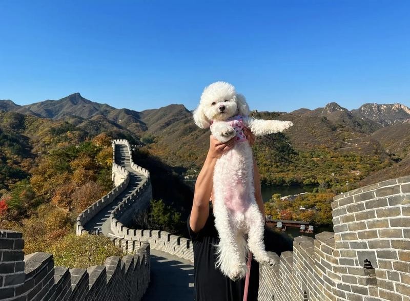 水長城景區有哪些寵物友好服務？