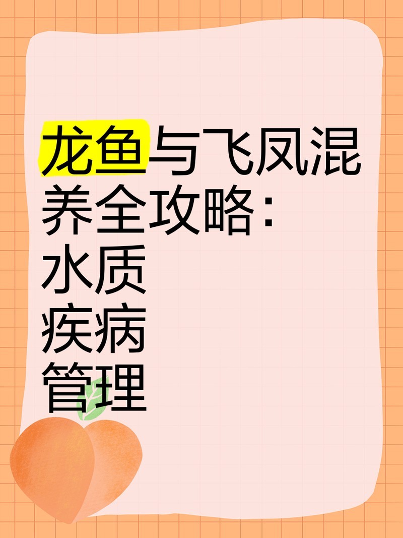 飛鳳魚和紅龍混養(yǎng)需要注意什么？ 飛鳳魚和紅龍混養(yǎng)需要注意什么？ 2025長城杯龍魚大賽 第1張