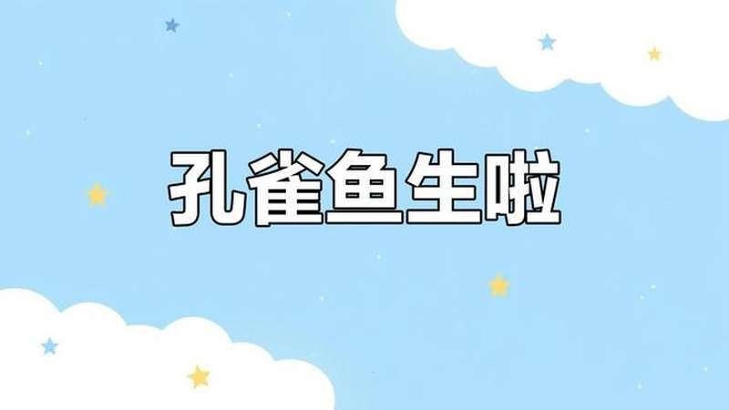 有沒有孔雀魚比賽的視頻欣賞？