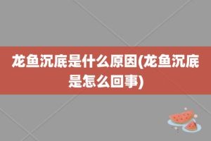 龍魚突然安靜的游動（龍魚突然安靜的游動可能由多種因素引起，可能由多種因素引起）