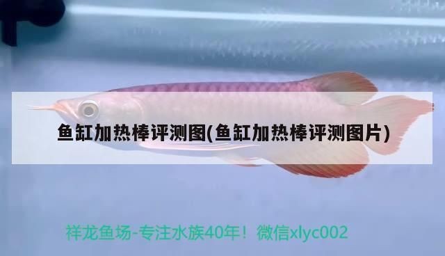 魚缸加熱棒測評：魚缸加熱棒使用安全須知，