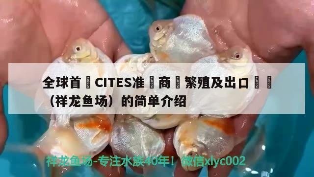 龍魚世界繁殖有限公司證書