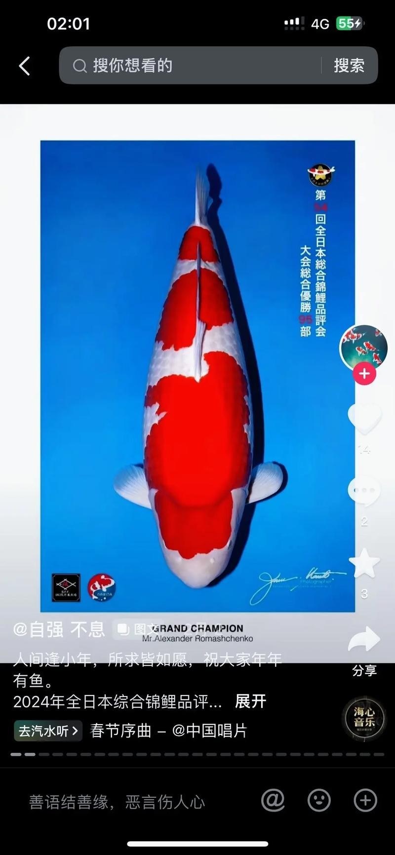 世界錦鯉大賽冠軍