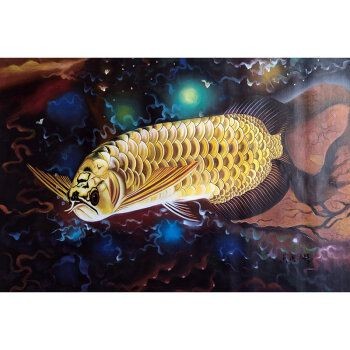 拍賣最貴的金龍魚多少錢：拍賣最貴的金龍魚多少錢一只