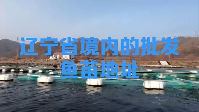 附近最近的賣魚苗的地址 附近最近的賣魚苗的地址 龍魚論壇 第4張