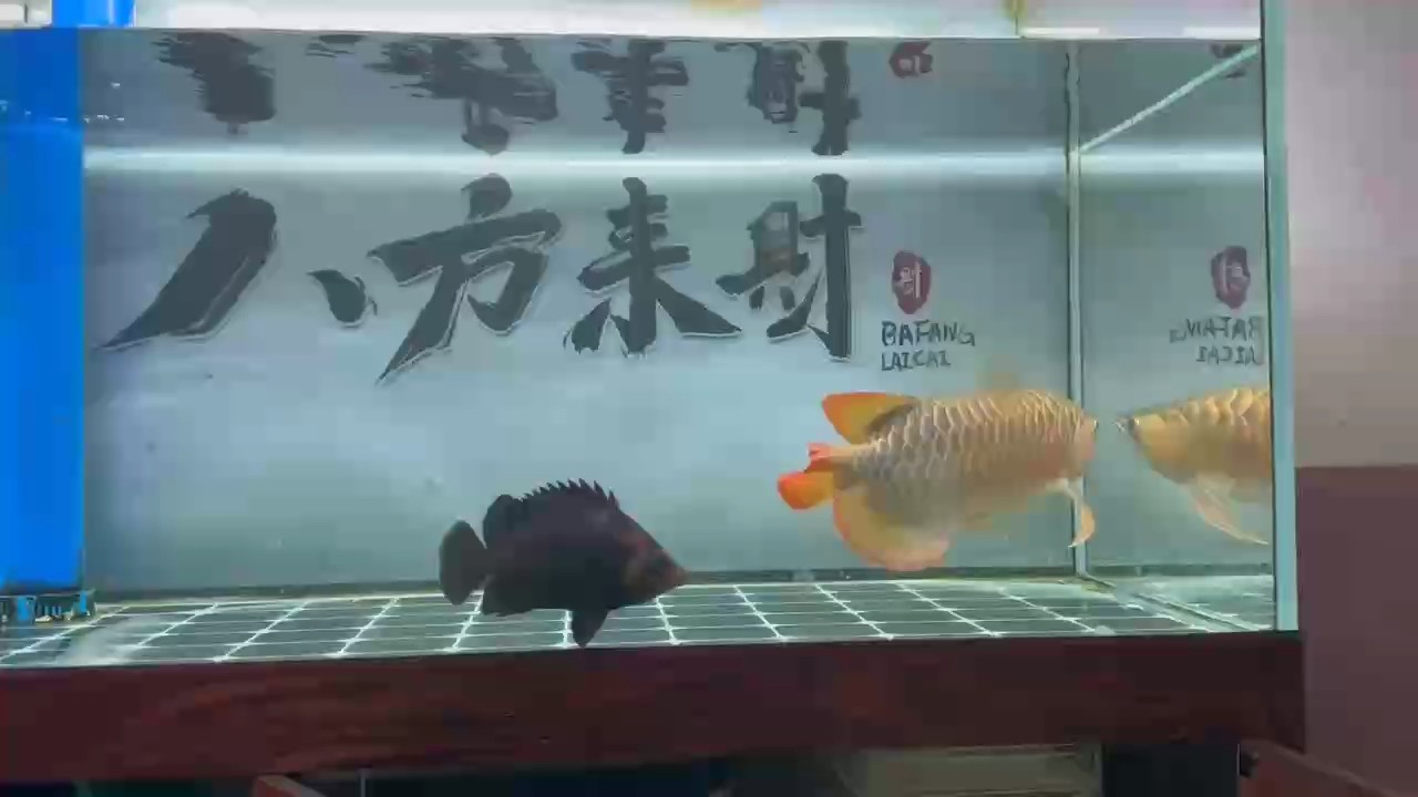 日常