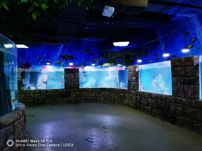 異形魚缸適合放沙子嗎：異形魚缸適合放沙子嗎異形魚缸適合放沙子嗎 異形魚缸適合放沙子嗎：異形魚缸適合放沙子嗎異形魚缸適合放沙子嗎 魚缸百科 第1張