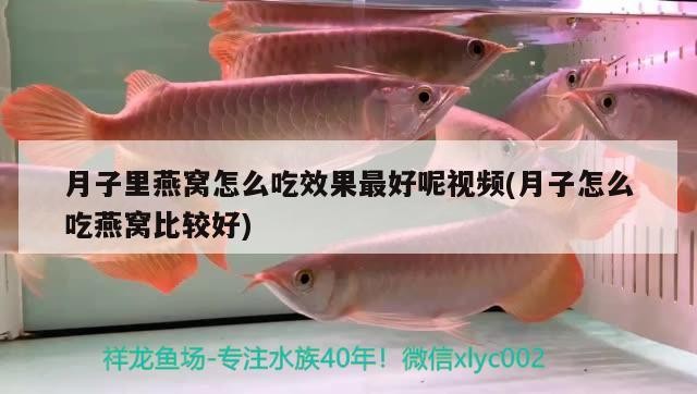 額敏縣億淼水族生活館，