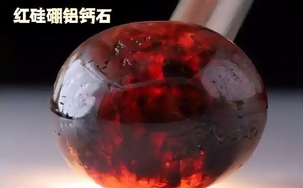 紫羅蘭金龍為何能拍出天價？
