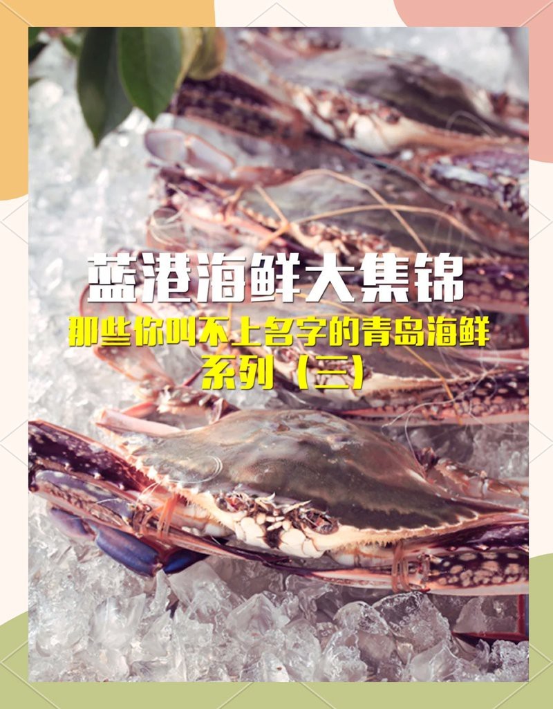 青島黑頭魚是石斑魚嗎