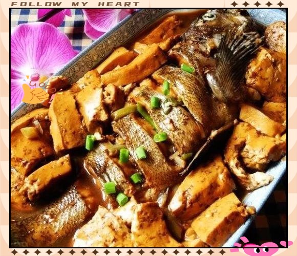 青島黑頭魚是石斑魚嗎