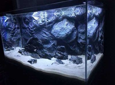 藍寶魚缸官網：藍寶魚缸官網及購買指南