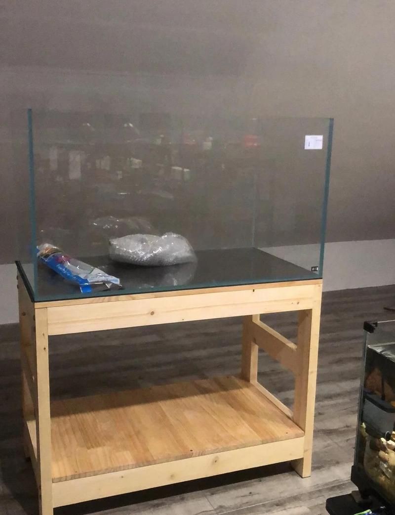 虎紋巨頭哪個好 虎紋巨頭哪個好 龍魚論壇 第2張