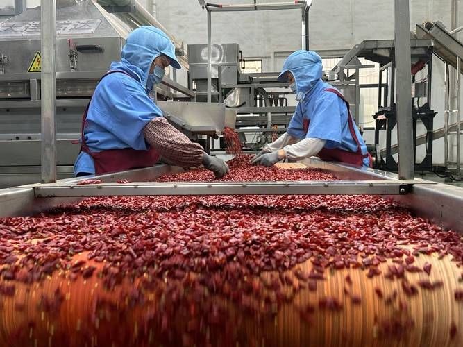 紅綠混合長辣椒圖片 紅綠混合長辣椒圖片 龍魚論壇 第2張