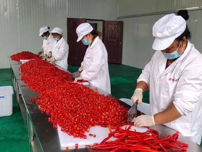 紅綠混合長辣椒圖片 紅綠混合長辣椒圖片 龍魚論壇 第3張