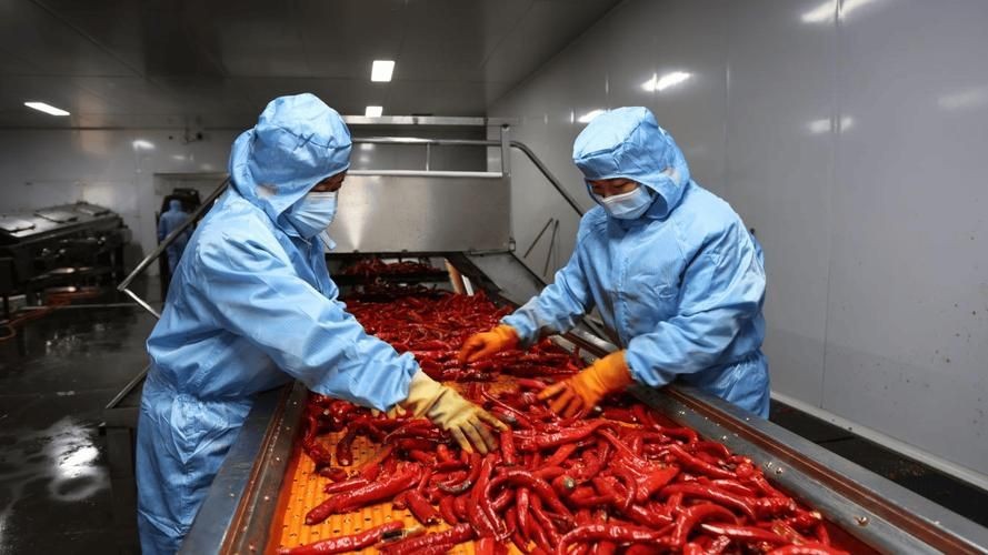 紅綠混合長辣椒圖片 紅綠混合長辣椒圖片 龍魚論壇 第16張