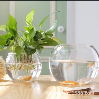 景觀魚缸價格：景觀魚缸價格一般多少