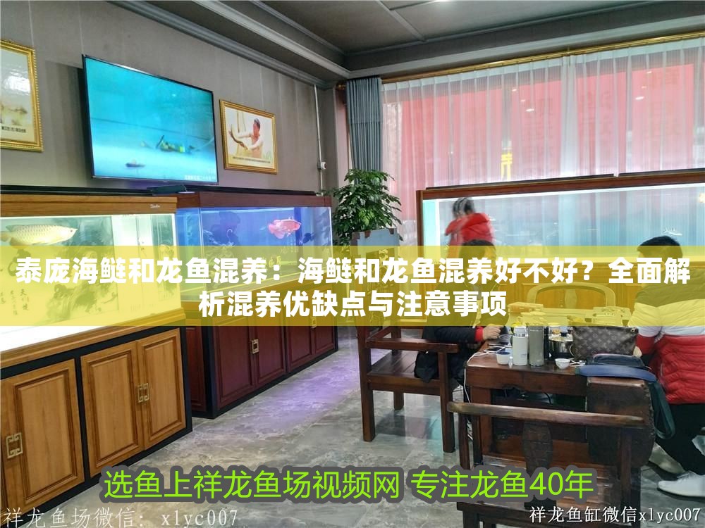 泰龐海鰱和龍魚混養：海鰱和龍魚混養好不好？全面解析混養優缺點與注意事項