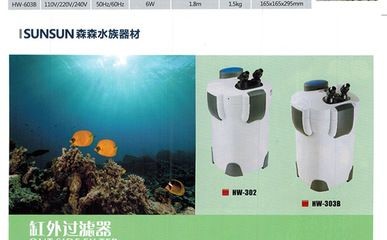 魚缸過濾器的使用對于維持魚缸水質的健康至關重要：如何正確安裝魚缸過濾器？