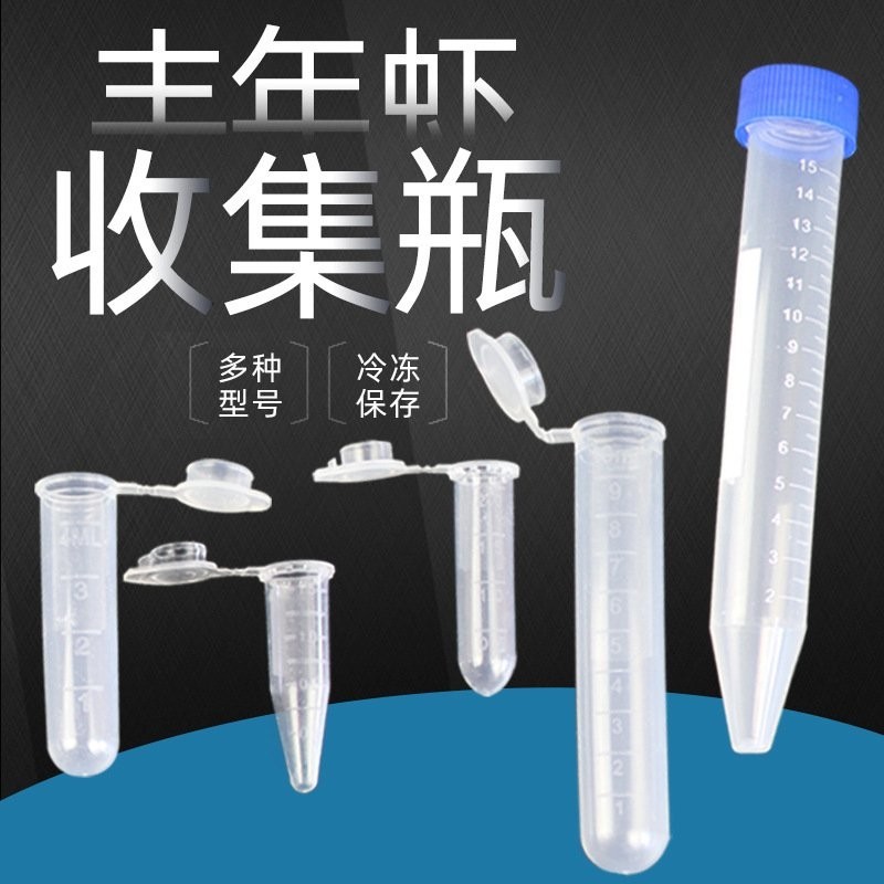賽級孔雀魚價格是多少？ 賽級孔雀魚價格是多少？ 2025長城杯龍魚大賽 第20張